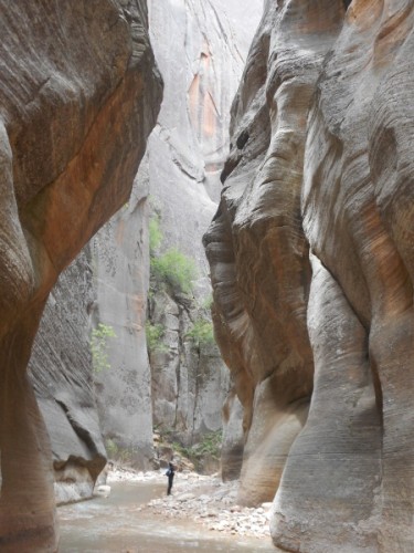 the narrows